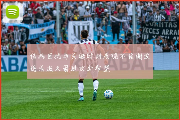 伤病困扰与关键时刻表现不佳谢泼德或成火箭进攻新希望