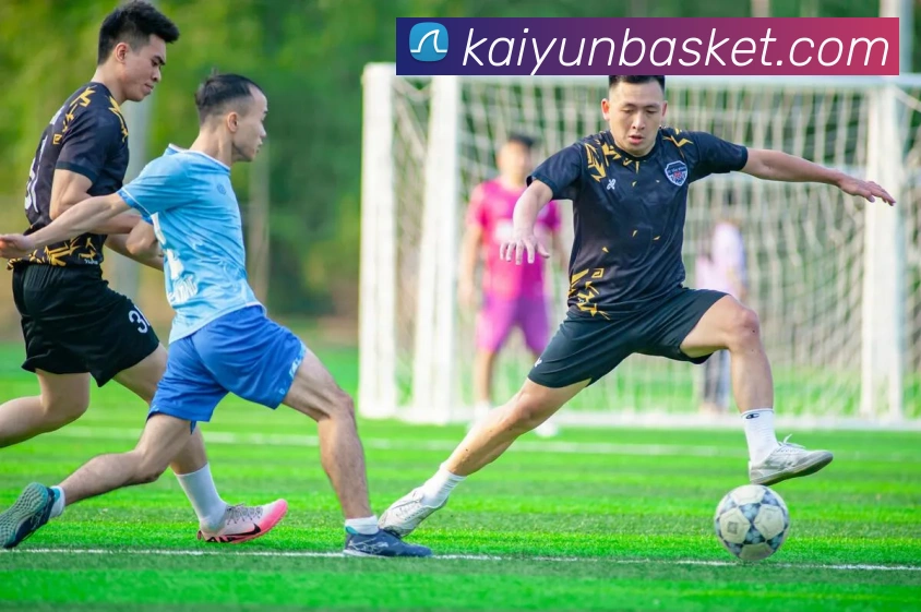 开云体育APP 高清赛事图